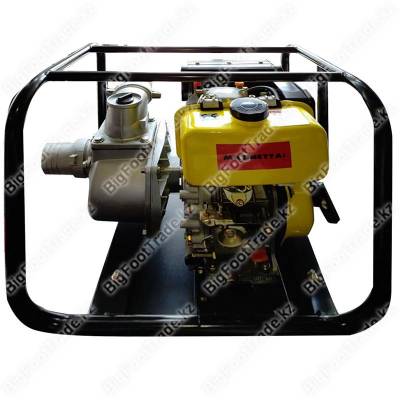 Нажмите для увеличения DP100-186F Magnetta